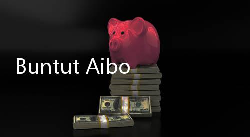 Buntut Aibon Seharga Rp82 Miliar, Politikus PSI Dipanggil BK DPRD
