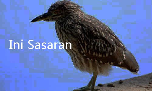 Ini Sasaran Tiga Terduga Teroris di Bekasi Sebelum Ditangkap