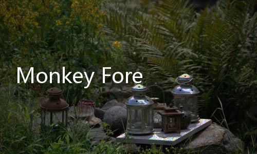 Monkey Forest Ubud Tutup Sementara Usai Pohon Tumbang Tewaskan 2 Turis