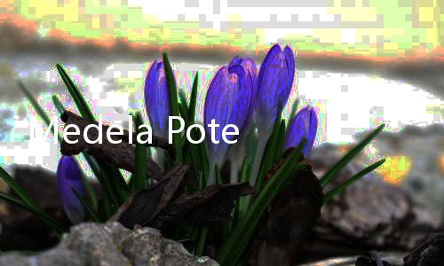 Medela Potentia Dukung Deteksi Dini Penyakit Kronis Lewat Skrining Kesehatan di Bandung