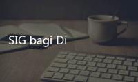 SIG bagi Dividen Rp648 M, Gebrak Pasar Bata Ramah Lingkungan