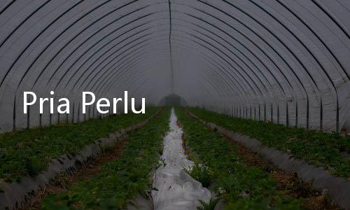 Pria Perlu Tahu, Wanita Tak Suka Disentuh di Area Ini saat Bercinta
